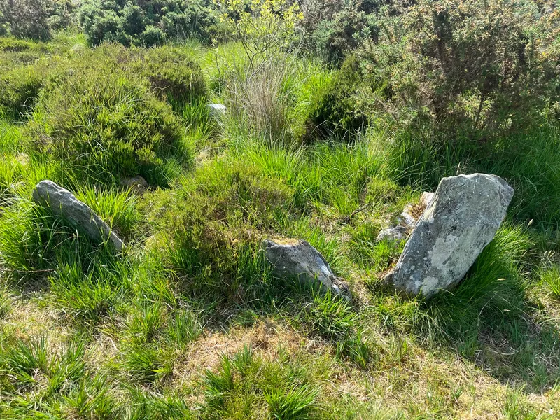Ballygroll Prehistoric Landscape