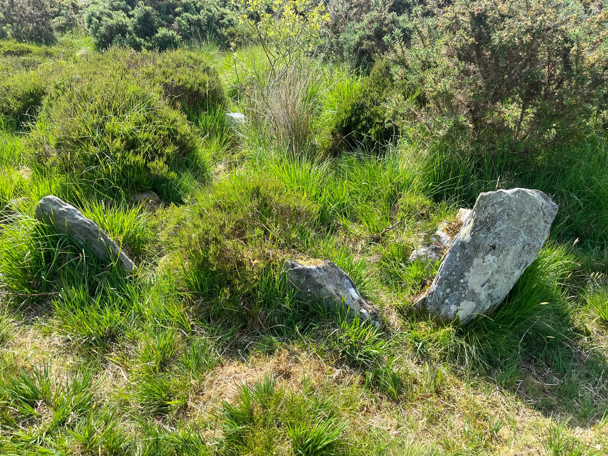 Ballygroll Prehistoric Landscape