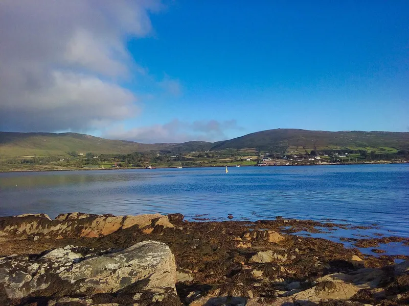 Bere Island Whale & Dolphin Watching