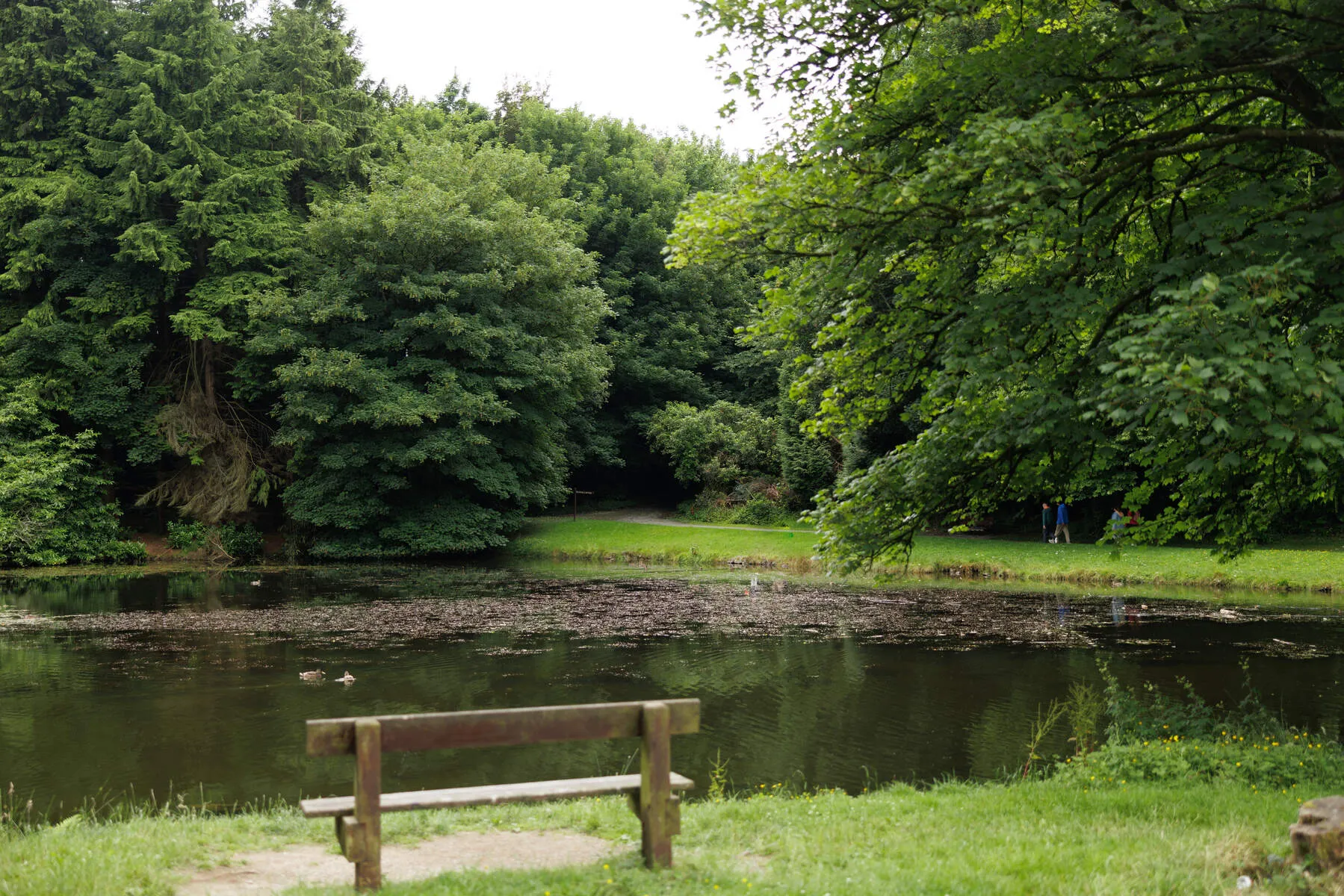 Dun an Rí Forest Park Walks