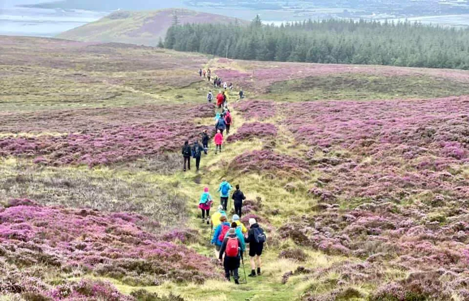 Cooley Mountains & Slieve Foy