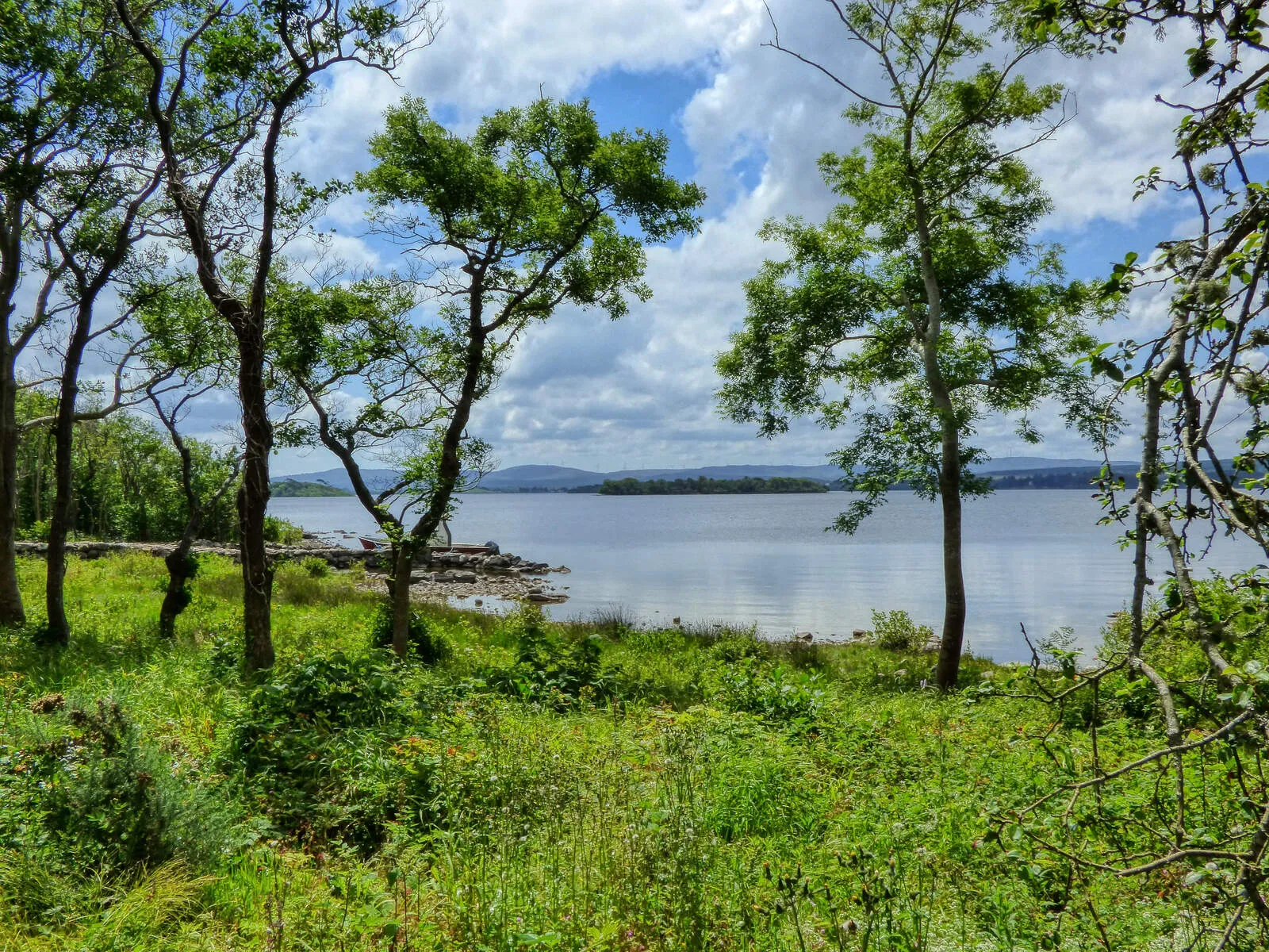 Inchagoill Island Visit (Lough Corrib)