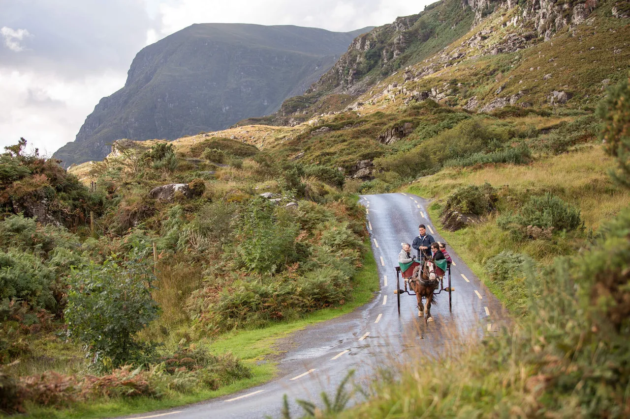 Jaunting Car Tour Killarney National Park