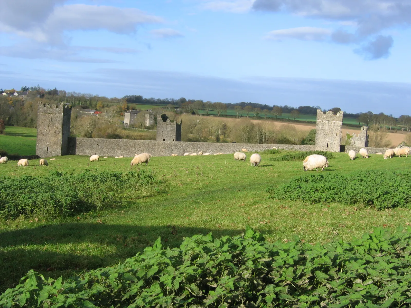 Kells Priory with some sheep in front.