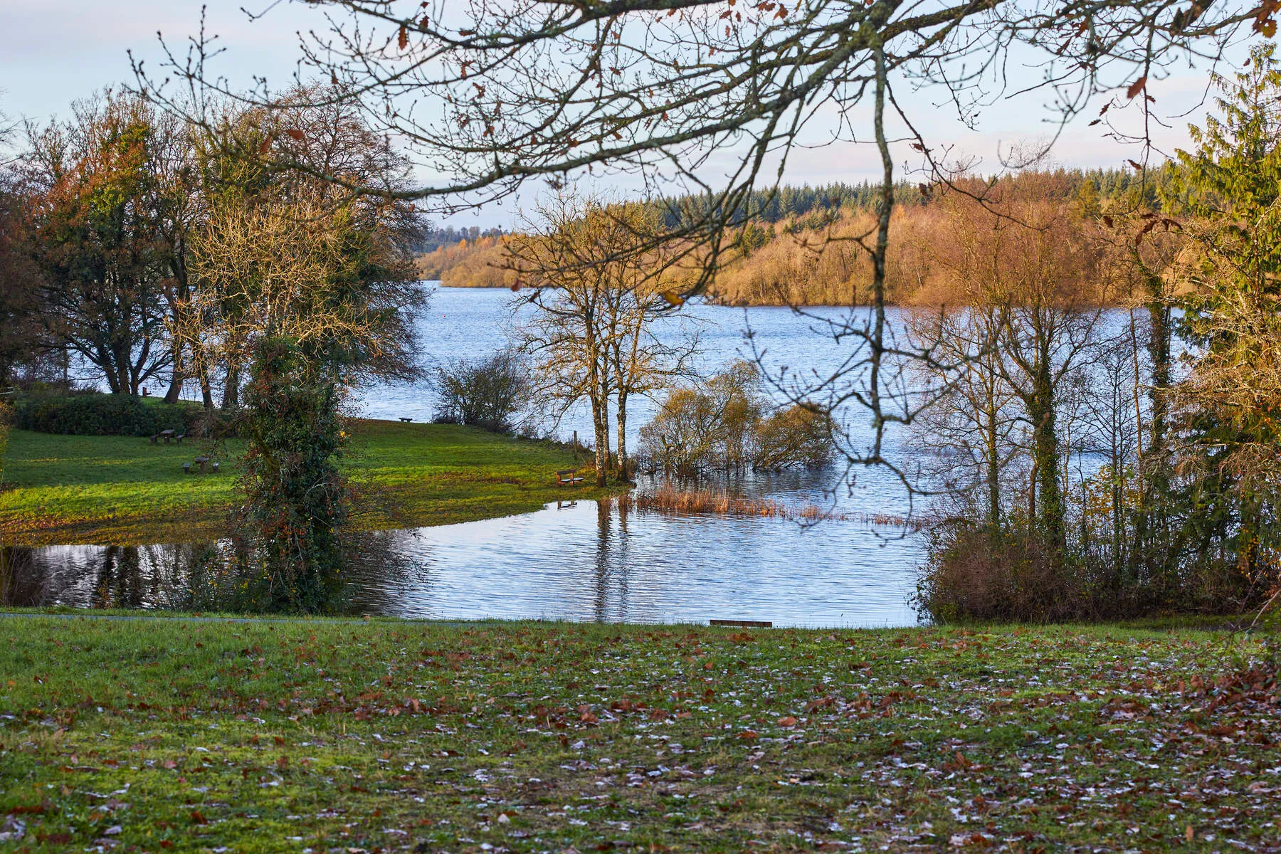 Killykeen Forest Nature Trail (3km Loop)