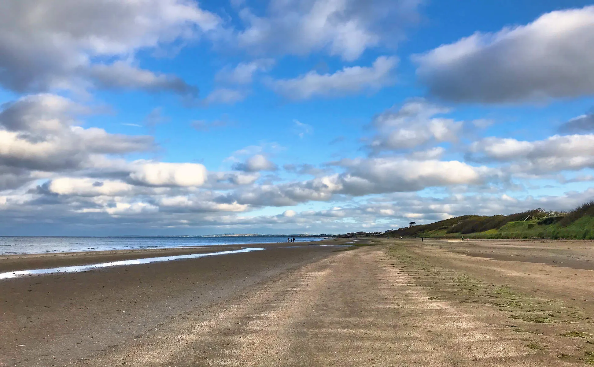 Laytown Beach & Coastal Activities