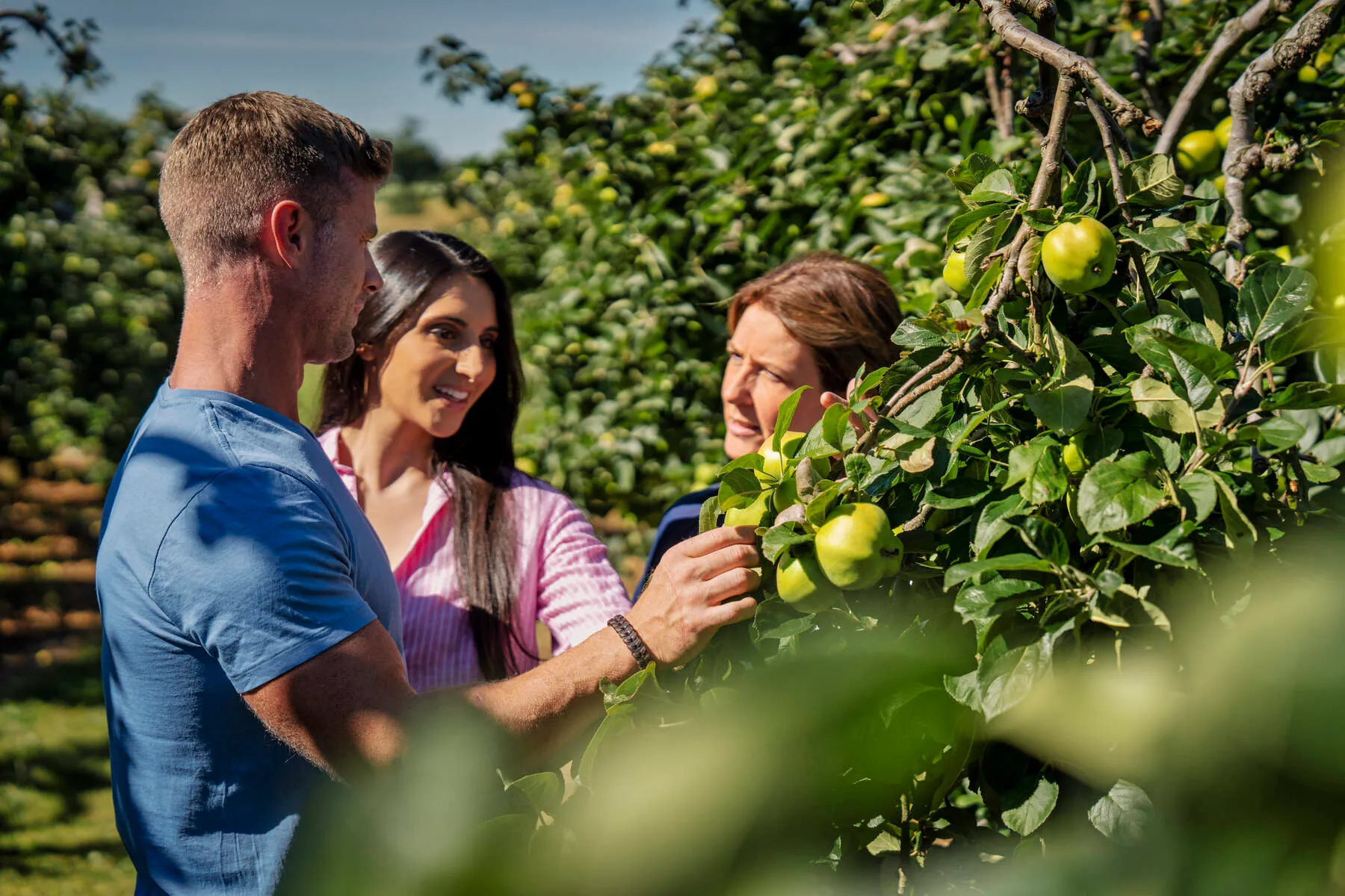 Long Meadow Orchard Cider Experience