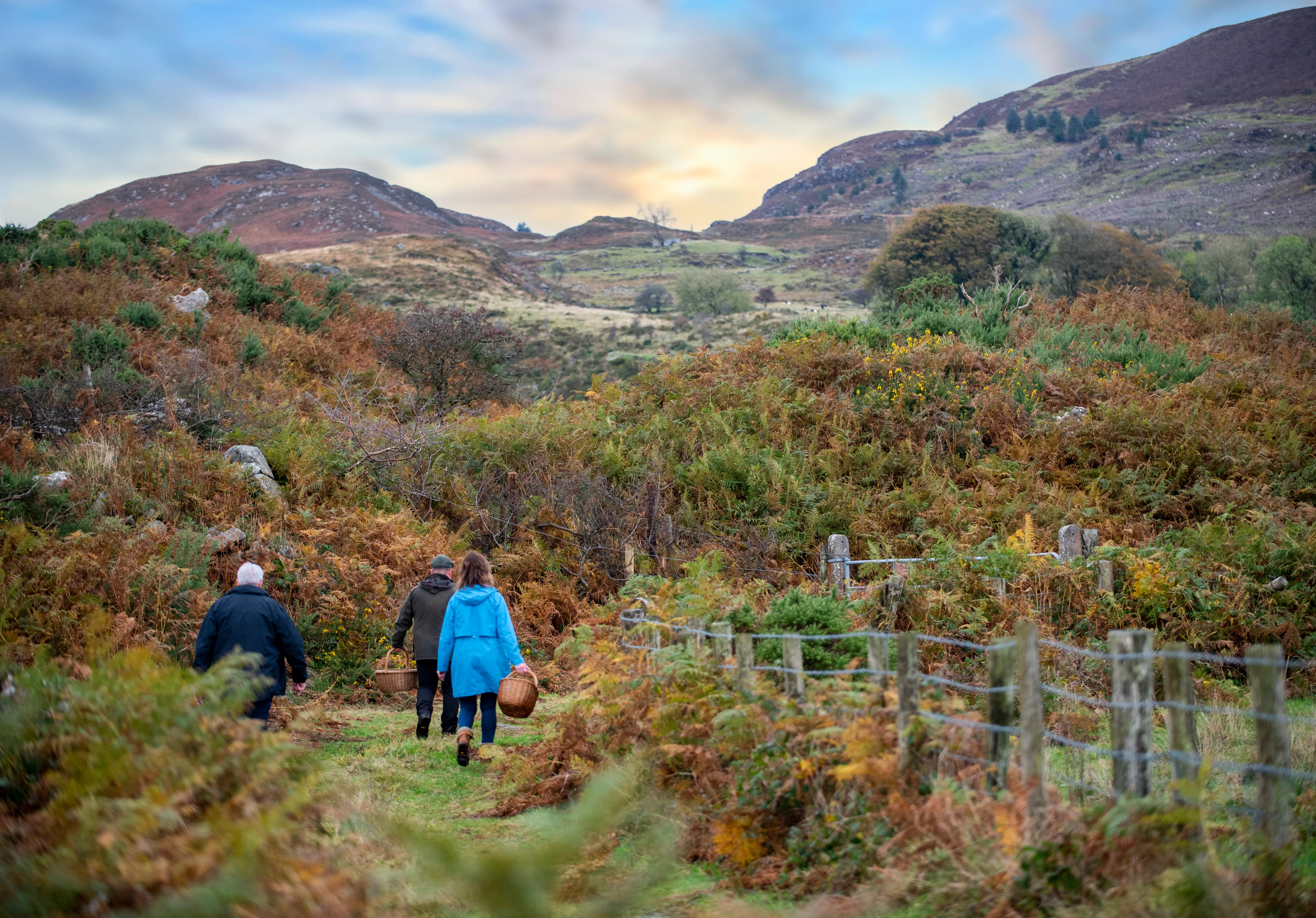 Exploring the Ring of Gullion