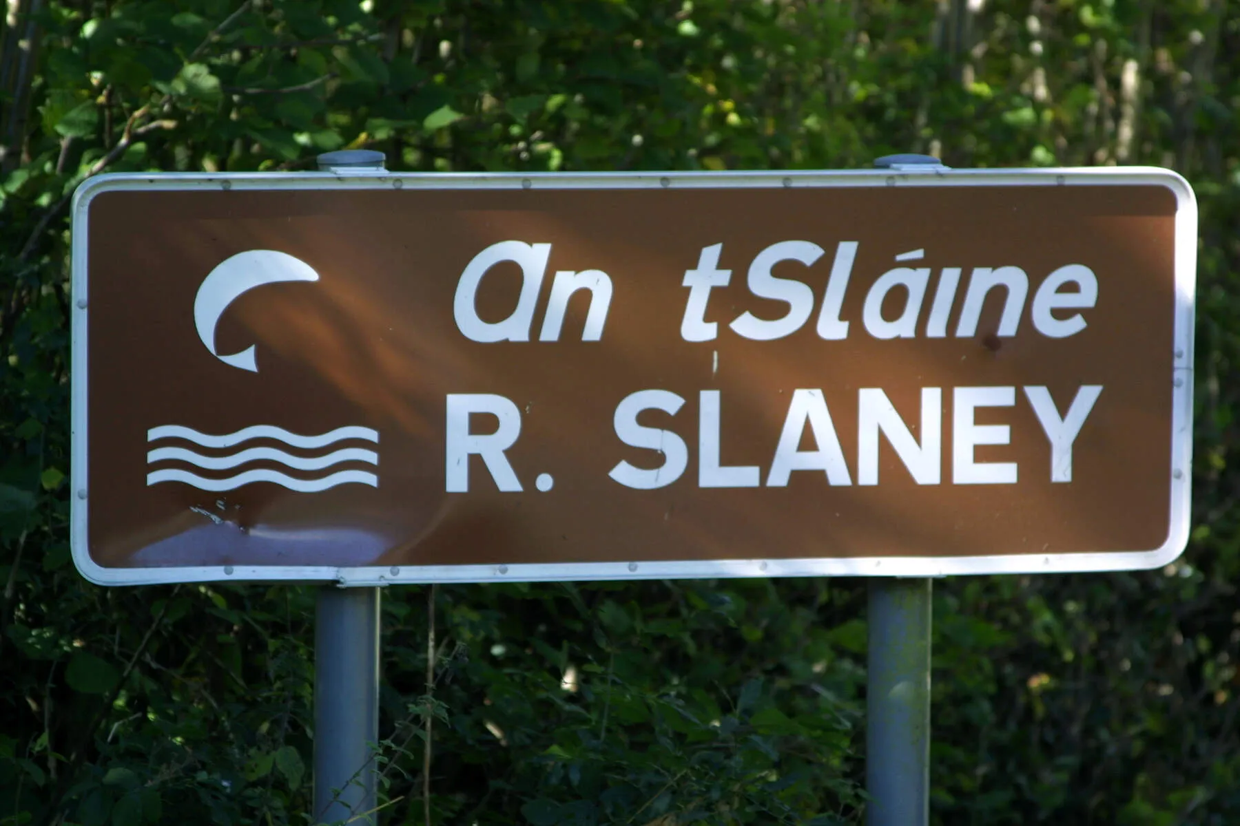 Riverside Walks along River Slaney